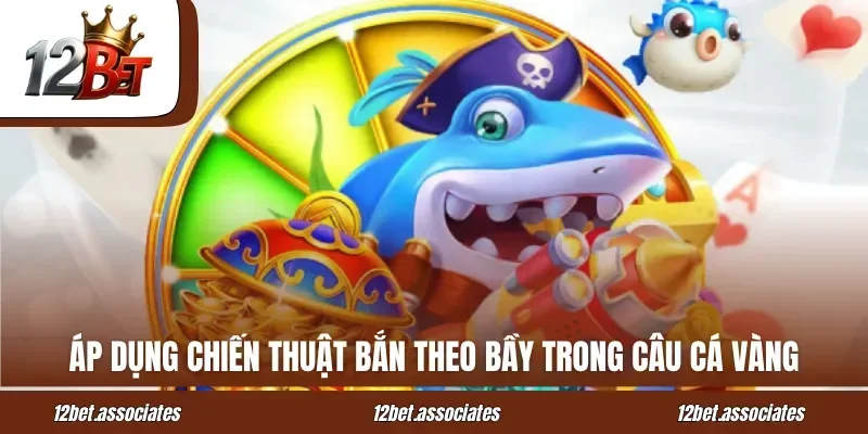 Áp dụng chiến thuật bắn theo bầy trong câu cá vàng