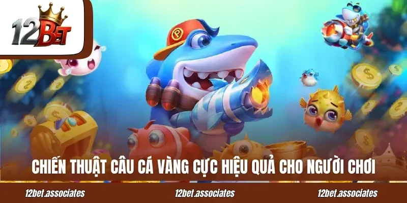 Chiến thuật câu cá vàng cực hiệu quả cho người chơi