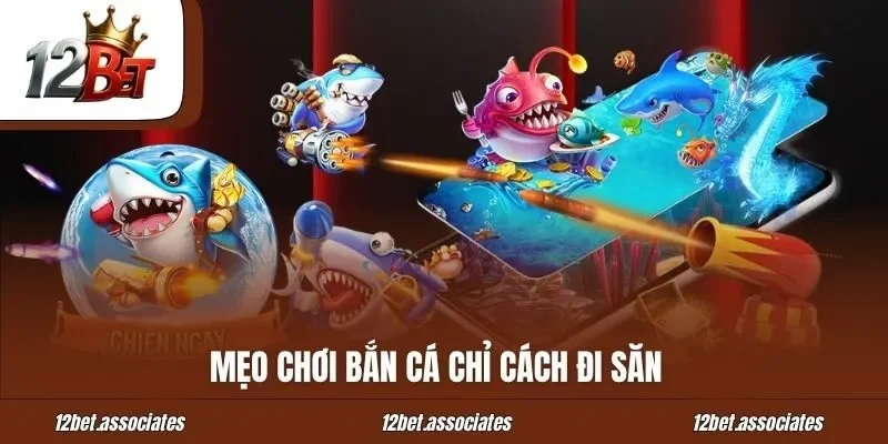 Mẹo chơi bắn cá chỉ cách đi săn
